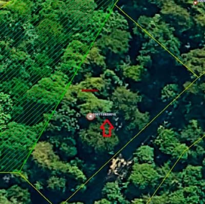 Foto 3 de 9: Terreno em leilão em Ilhabela - SP, bairro Barra Velha — id 778 - Direitos Possessórios - Terreno - Ilhabela/SP
