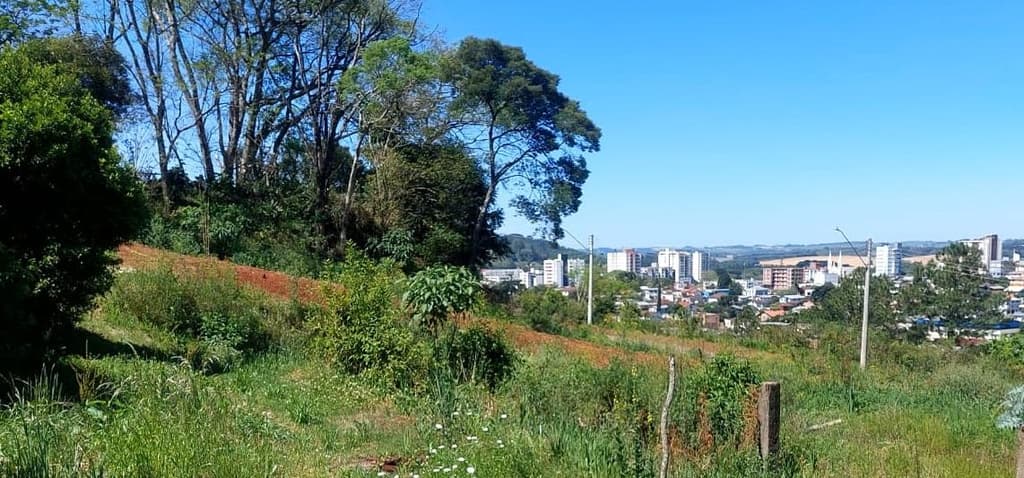 Terreno em leilão em Getúlio Vargas - RS, bairro São Pelegrino — TERRENO - FRAÇÃO IDEAL DE 500M² EM GETÚLIO VARGAS/RS