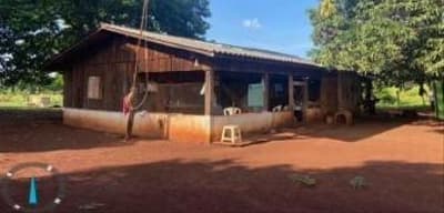 Foto 8 de 8: Area Rural em leilão em Nova Olímpia - MT — IMÓVEL RURAL - "FAZENDA IBIPORÃO I - 140HA, NOVA OLÍMPIA/MT - EXPLORAÇÃO DE PECURÁRIA