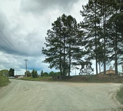 Foto 4 de 11: Area Rural em leilão em Bela Vista Do Toldo - SC, bairro Interior — IMÓVEL RURAL COM ÁREA TOTAL DE 235.247,93 M2 EM BELA VISTA DO TOLDO-SC