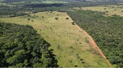 Foto 5 de 5: Area Rural em leilão em Costa Rica - MS — 50% DA PARTE IDEAL DO EXECUTADO SOB IMÓVEL DA MATRÍCULA 21.296 DO REGISTRO DE IMÓVEIS DE COSTA RICA/MS