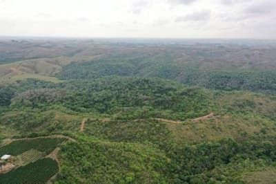 Foto 2 de 5: Area Rural em leilão em Bambuí - MG — FAZENDA "RANGEL" EM BAMBUÍ/MG.