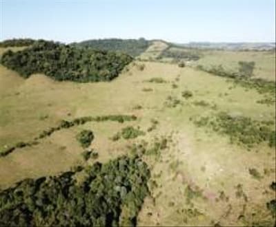 Area Rural em leilão em Manfrinópolis - PR — Imóvel Rural com 61.000,00m² em Manfrinópolis/PR.