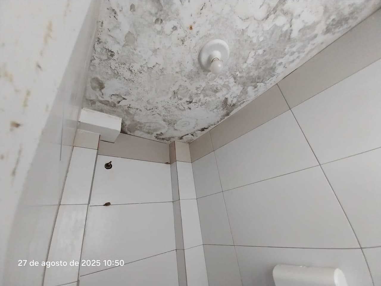 Foto 10 de 28: Apartamento em leilão em Curitiba - PR — Apartamento do Edifício Lattes, Curitiba/PR
