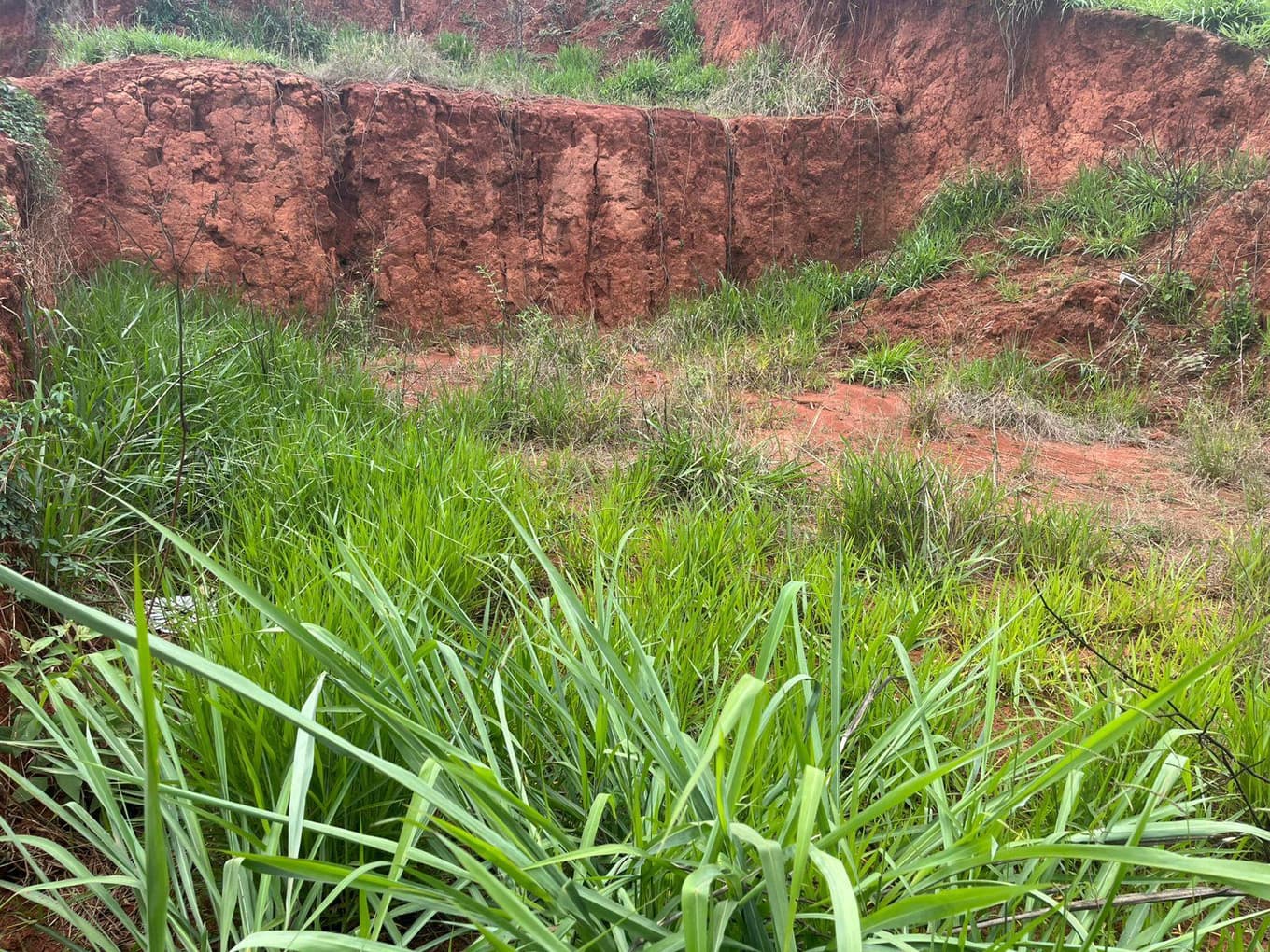 Foto 3 de 6: Terreno em leilão em Canaã - MG, bairro Centro — IMÓVEL URBANO COM ÁREA TOTAL DE 295,12 M2 EM CANAÃ-MG