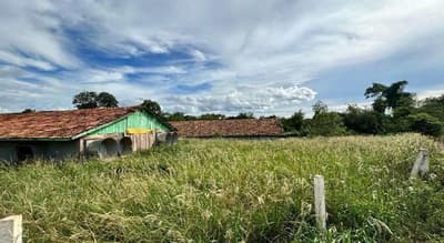 Foto 7 de 40: Area Rural em leilão em Marechal Cândido Rondon - PR — Parte ideal de 55.265,69 m² do Lote Rural 05/A do 19º Perímetro da Fazenda Britânia, situado neste município e comarca de Marechal Candido Rondon/PR