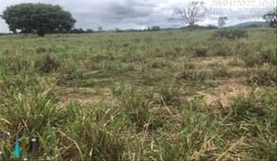 Foto 7 de 9: Terreno em leilão em Santana Do Araguaia - PA — 04 IMÓVEIS RURAIS NO LOT. COLÔNIA VERDE BRASILEIRA EM SANTANA DO ARAGUAIA-PA