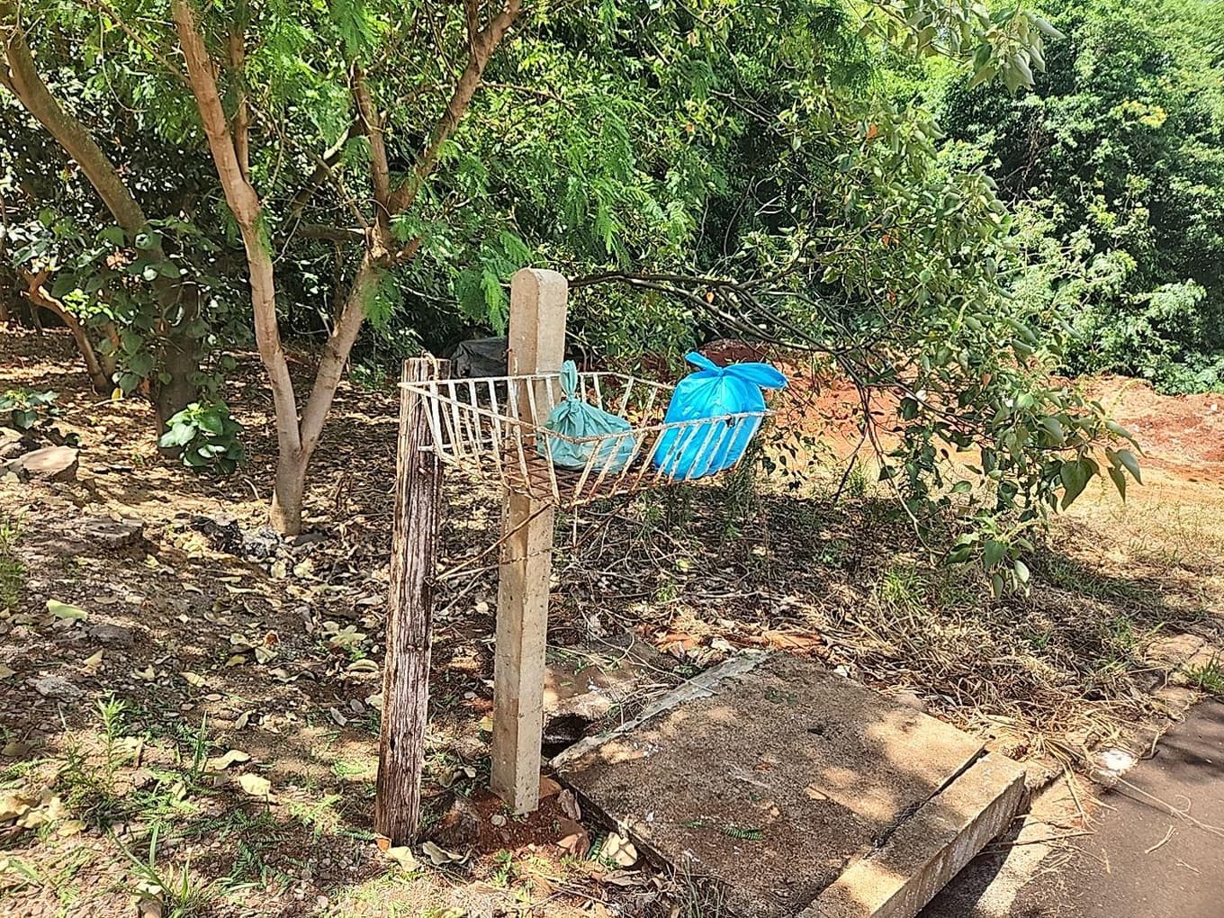 Foto 1 de 9: Terreno em leilão em Lindoeste - PR — LOTE URBANO Nº 03 SITUADO NO LOTEAMENTO JARDIM ITÁLIA NO MUNICÍPIO DE LINDOESTE/PR ÁREA DE 487,66M²