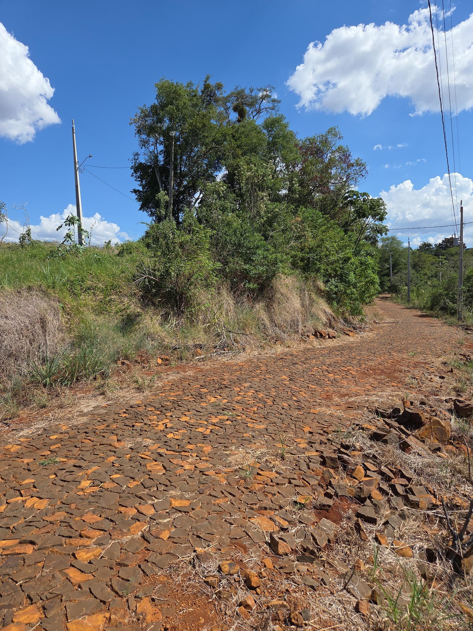 Foto 7 de 7: Terreno em leilão em Nova Prata Do Iguaçu - PR — LOTE URBANO Nº 01, QUADRA Nº 04 DO LOTEAMENTO MARINA PORTAL DO SOL DO MUNICÍPIO DE NOVA PRATA DO IGUAÇU/PR ÁREA DE 3.936,57M²