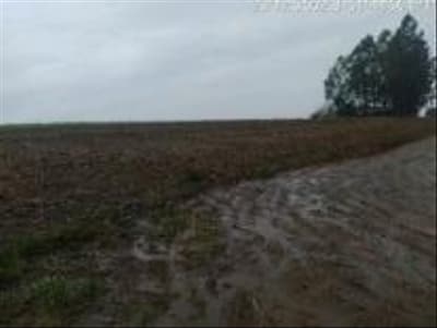 Foto 4 de 10: Area Rural em leilão em Bom Sucesso - PR — IMÓVEL RURAL COM ÁREA DE 7, 3702 Ha EM ZONA RURAL DE BOM SUCESSO-PR
