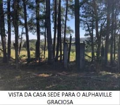 Foto 20 de 31: Terreno em leilão em Pinhais - PR — Terreno vizinho ao Alphaville Graciosa com área de 749.400,74m² - Pinhais/PR