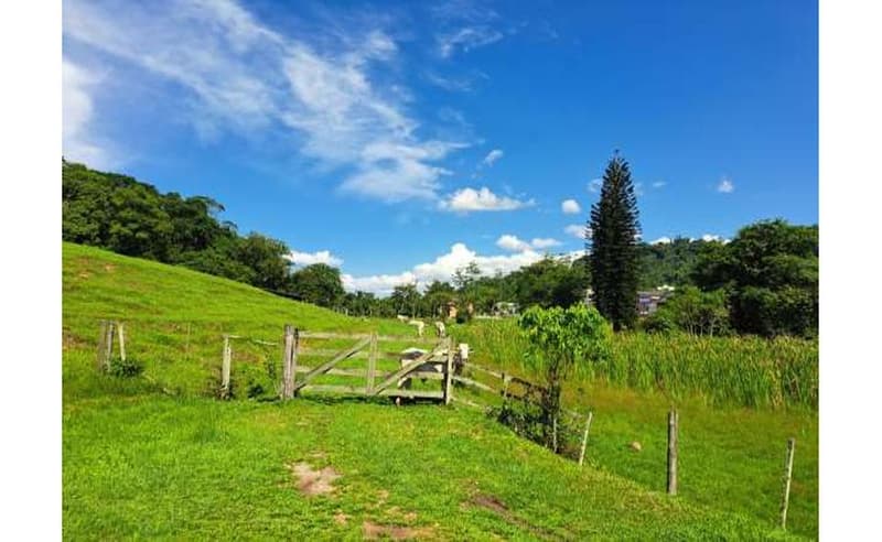 Foto 25 de 64: Terreno em leilão em Blumenau - SC — Um imóvel com área total de 102.114,74m² em Blumenau/SC
