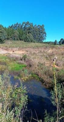 Foto 7 de 8: Area Rural em leilão em Fontoura Xavier - RS, bairro Interior — IMÓVEL RURAL (FRAÇÃO IDEAL) 39.790 m² EM FONTOURA XAVIER-RS