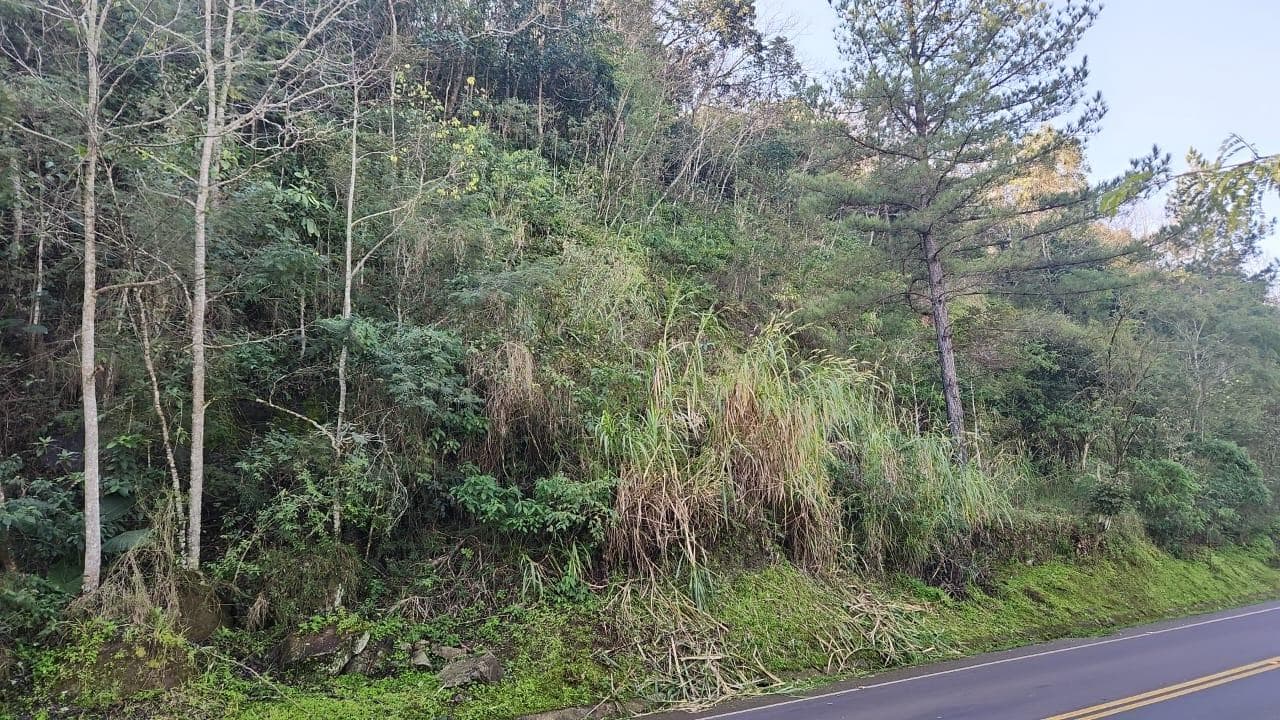 Foto 3 de 10: Terreno em leilão em Mondaí - SC — LOTE URBANO Nº 06 LOCALIZADO NA AVENIDA LAJU NO MUNICÍPIO DE MONDAÍ/SC - ÁREA DE 2.000M²