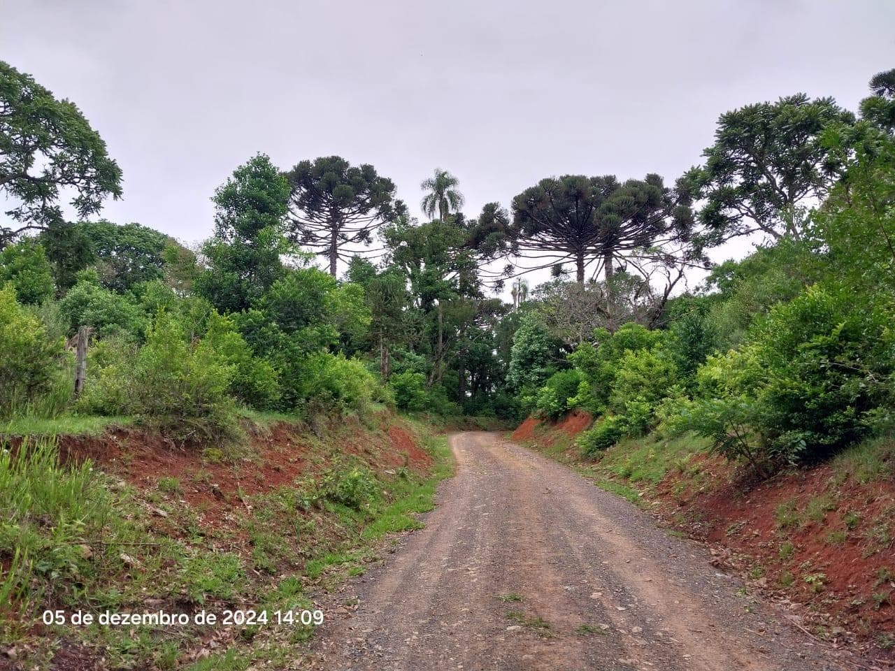 Foto 5 de 17: Terreno em leilão em Lapa - PR — Terreno rural, com área de 36.300,00m², Lapa/PR