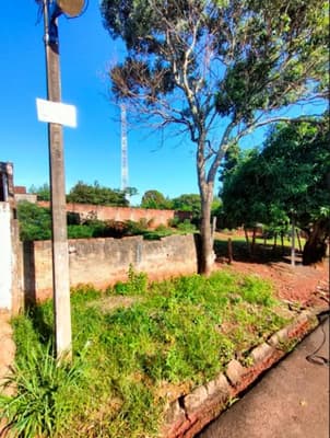 Foto 2 de 2: Area Rural em leilão em Jaguapitã - PR — Terras com área de 307,53 mtd2, Jaguapitã, Paraná