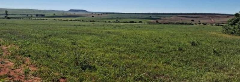 Foto 4 de 5: Area Rural em leilão em Teodoro Sampaio - SP — Área de terras com 196,4662 hectares, perímetro de 8.002,01m, sem benfeitorias.