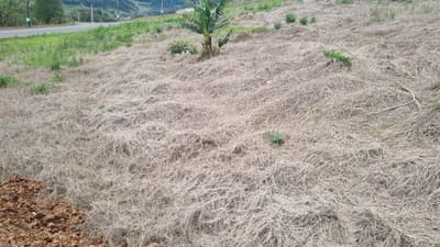 Foto 3 de 5: Terreno em leilão em Saudades - SC — LOTE URBANO Nº 03, DA QUADRA Nº 122, LOCALIZADO EM SAUDADES/SC ÁREA DE 360M²