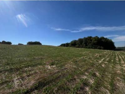Foto 3 de 5: Area Rural em leilão em São José Das Missões - RS — IMÓVEL RURAL COM ÁREA DE de 36.116,81m2 EM SÃO JOSÉ DAS MISSÕES-RS