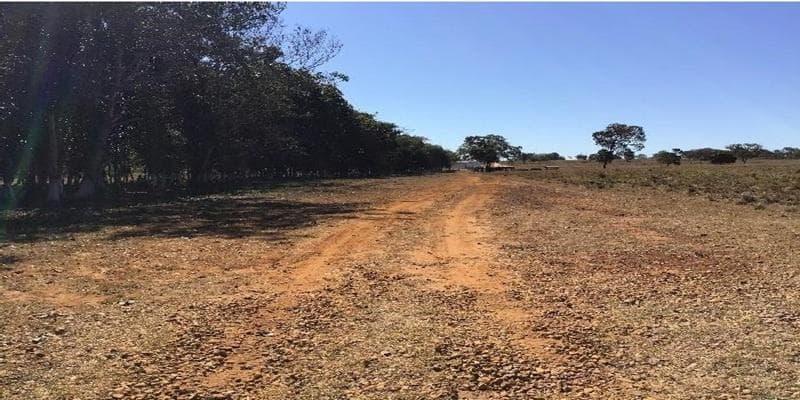 Foto 8 de 11: Area Rural em leilão em Poxoréu - MT — IMÓVEL RURAL | 54,00 HA PECUÁRIA | ESTÂNCIA 2 IRMÃOS, POXORÉU/MT