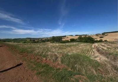 Area Rural em leilão em São José Das Missões - RS — IMÓVEL RURAL COM ÁREA DE 37.500,00m2. EM SÃO JOSÉ DAS MISSÕES-RS
