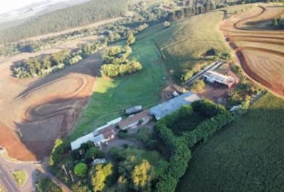 Foto 10 de 20: Area Rural em leilão em Campo Bonito - PR, bairro Zona Rural — IMÓVEL RURAL COM ÁREA TOTAL DE 19.73 ha- Em CAMPO BONITO/PR