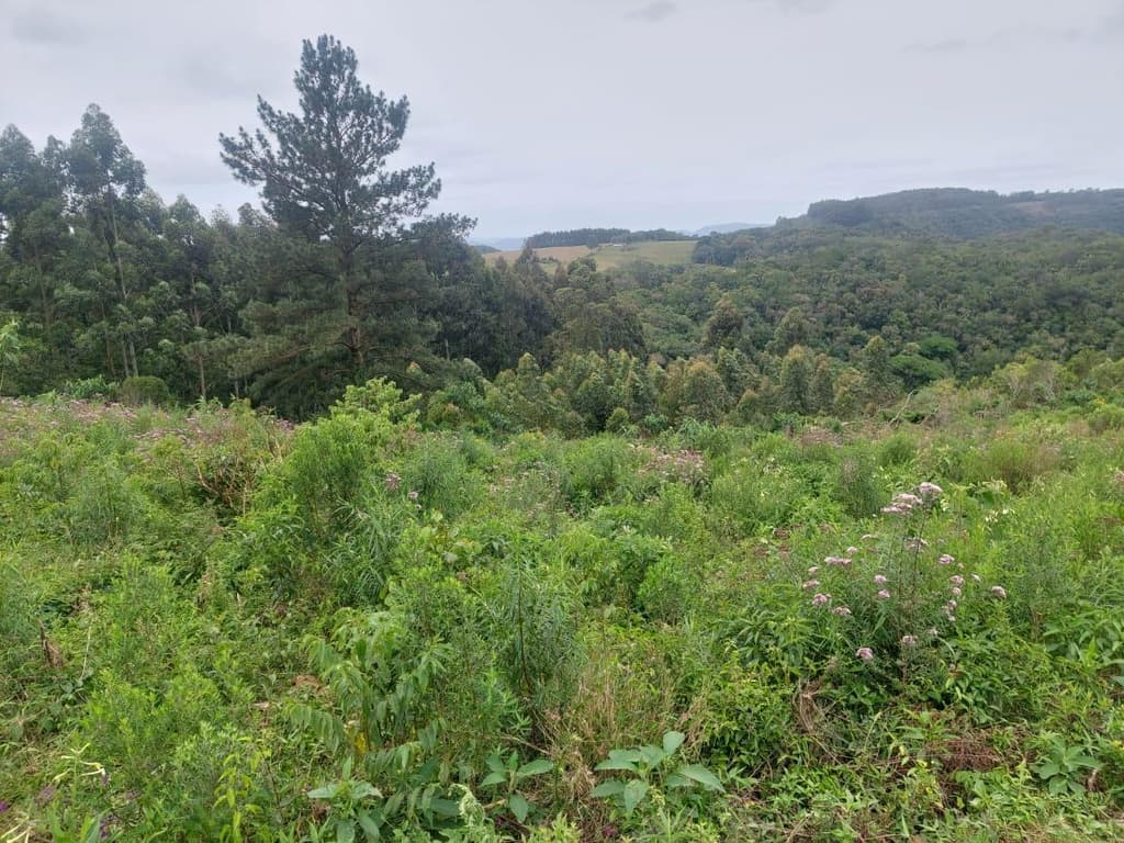 Area Rural em leilão em Candelária - RS — IMÓVEL RURAL - FRAÇÃO DE TERRAS, COM ÁREA SUPERFICIAL DE 54.756,8906 M2 EM CANDELARIA-RS