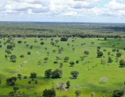 Foto 4 de 7: Area Rural em leilão em Nova Crixás - GO — Fazendas 2.913ha, Nova Crixás/GO