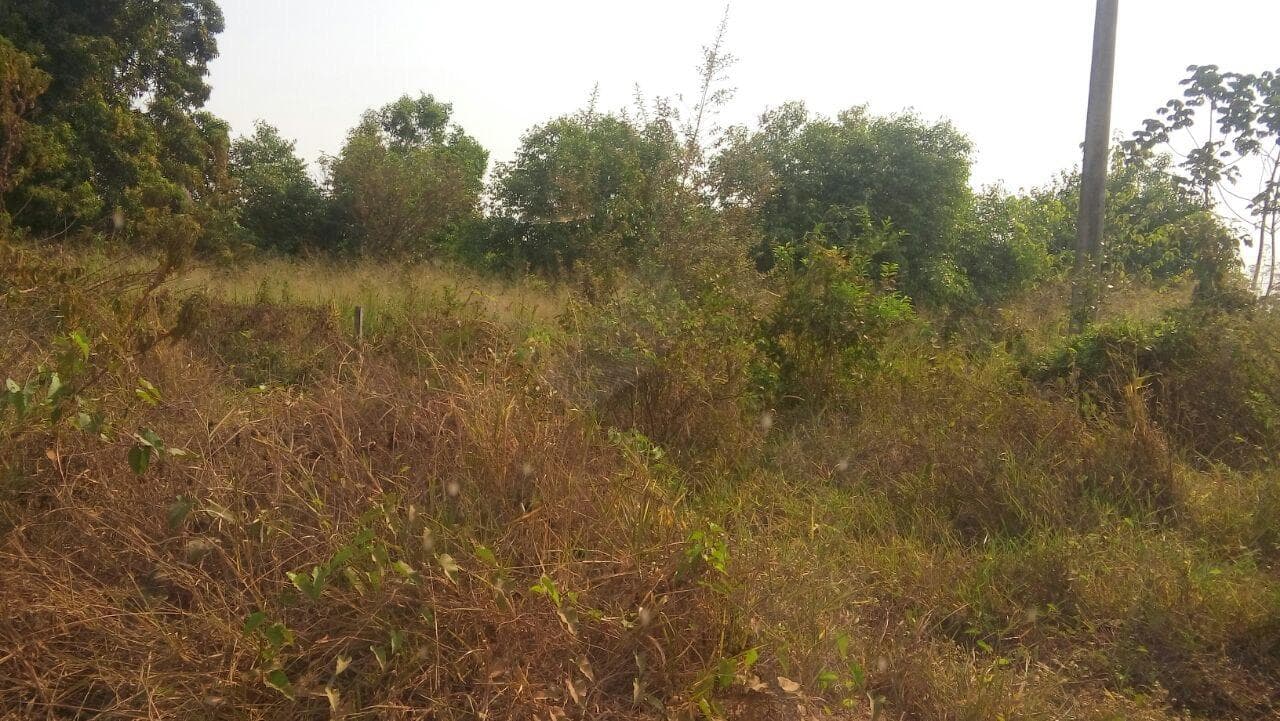 Foto 2 de 18: Terreno em leilão em Cáceres - MT — Terreno com 9.987m², Desocupado no Panorama em Cáceres/MT