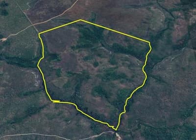 Foto 3 de 8: Area Rural em leilão em Rio Sono - TO — FAZENDA SANTA RITA DE CÁSSIA - RIO SONO/TO