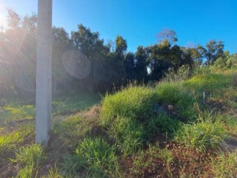 Foto 6 de 7: Terreno em leilão em Cordilheira Alta - SC, bairro Interior — Lote, 337.06 m2, Cordilheira Alta / SC