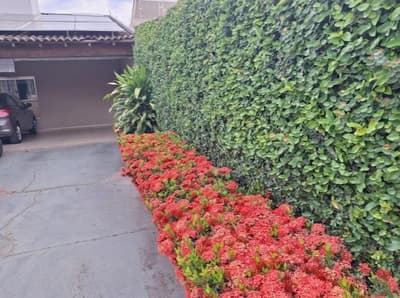 Foto 5 de 8: Terreno em leilão em José Bonifácio - SP — (50%) Casa, A.T. 1.961m², A.C. 261m²