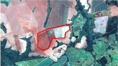 Foto 9 de 9: Area Rural em leilão em Sidrolândia - MS — IMÓVEL RURAL| 159HA FAZENDA MARACANÃ| SIDROLÂNDIA MS - LEILÃO EMPRESARIAL SISTÊMICO SICREDI
