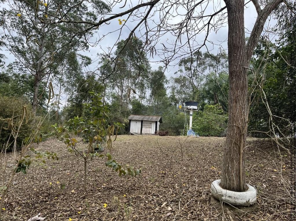 Foto 2 de 13: Area Rural em leilão em Iporanga - SP, bairro Descalvado — Imóvel Rural 109ha em Iporanga/SP