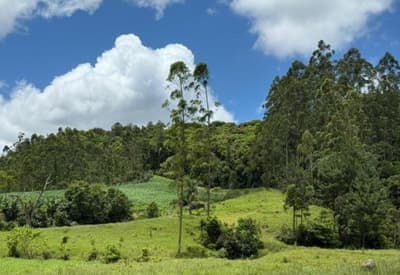 Foto 8 de 8: Area Rural em leilão em Rio Fortuna - SC — IMÓVEL RURAL COM ÁREA TOTAL DE 67.203,66m2, EM RIO FORTUNA-SC