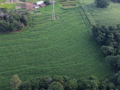 Foto 2 de 6: Area Rural em leilão em Peabiru - PR — IMÓVEL RURAL COM ÁREA TOTAL DE 69.733 m2- Em PEABIRU/PR
