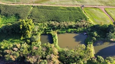 Foto 4 de 11: Area Rural em leilão em Nova Prata Do Iguaçu - PR — LOTE RURAL - SALTO DO LONTRA/PR