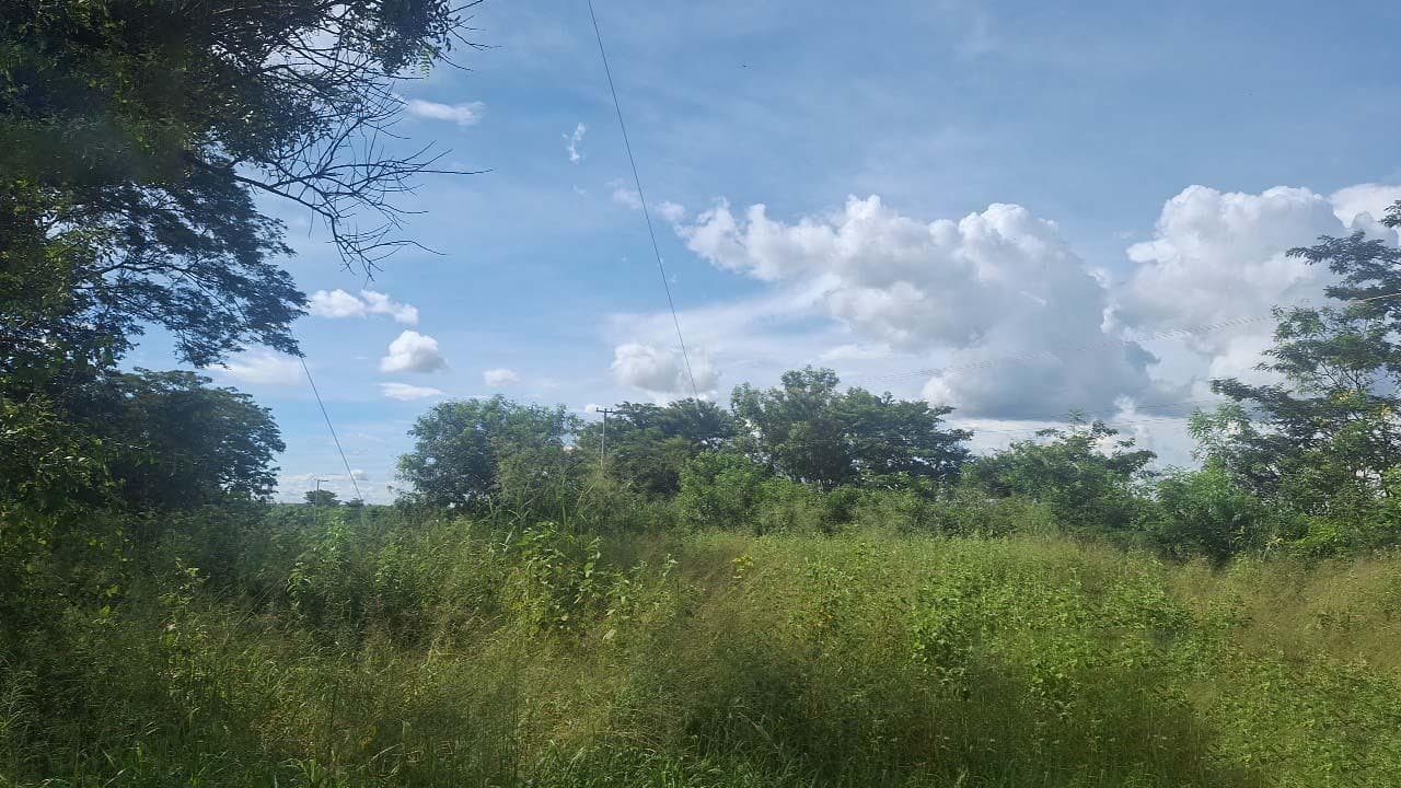 Foto 3 de 3: Terreno em leilão em Icém - SP — Terreno 4.437m² | Icém/SP | Estrada Boiadeira |