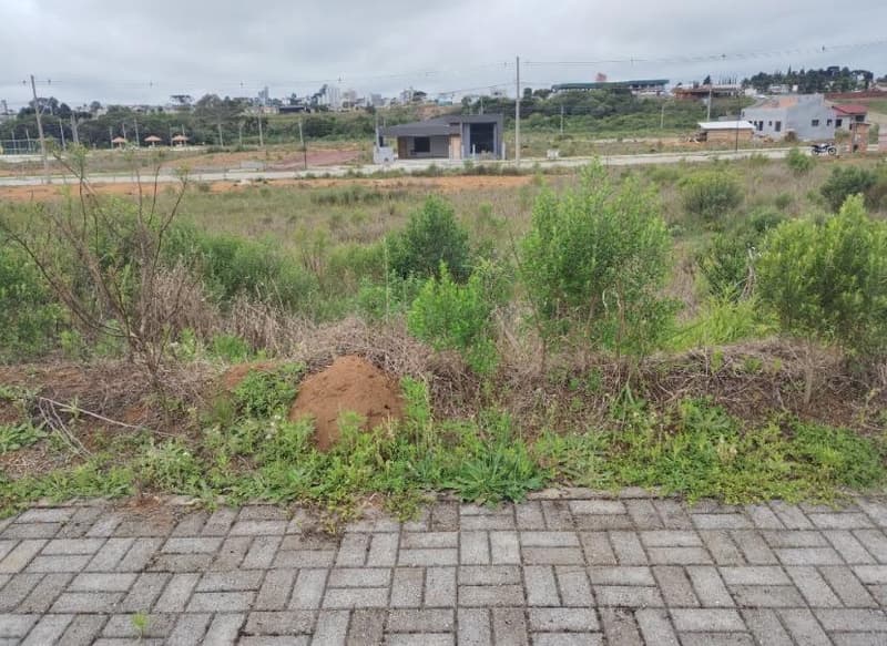 Foto 2 de 11: Terreno em leilão em Curitibanos - SC, bairro Bosque — IMÓVEL URBANO COM ÁREA TOTAL DE 405,00 m2, EM CURITIBANOS-SC