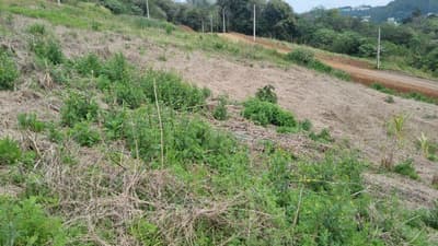Foto 5 de 5: Terreno em leilão em Saudades - SC — LOTE URBANO Nº 09, DA QUADRA Nº 122, LOCALIZADO EM SAUDADES/SC ÁREA DE 360M²