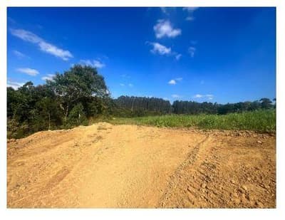 Foto 2 de 7: Terreno em leilão em Mafra - SC — Terreno rural sem benfeitorias