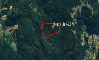 Foto 3 de 7: Area Rural em leilão em Presidente Nereu - SC, bairro Rio Antinha — IMÓVEL RURAL COM ÁREA TOTAL DE 35,000 ha, EM PRESIDENTE NEREU/SC
