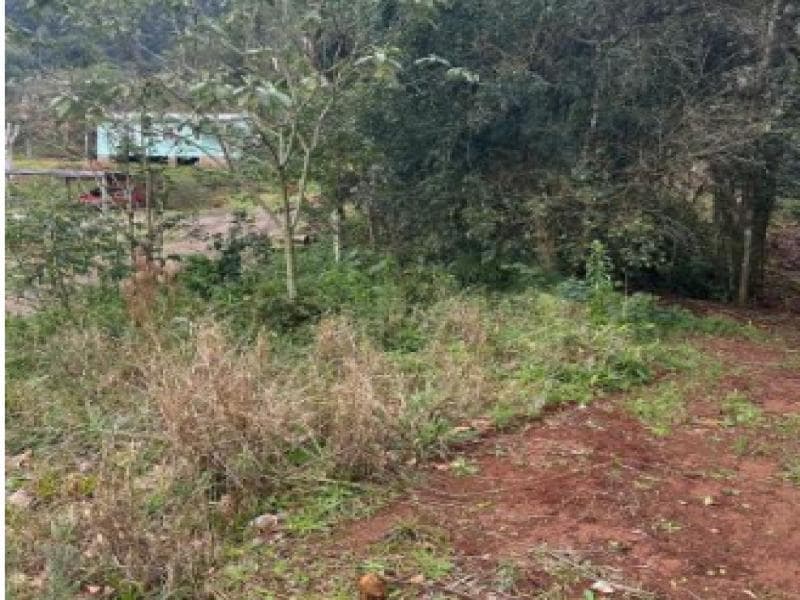 Foto 5 de 12: Terreno em leilão em Gramado - RS, bairro Várzea Grande — Lote, 4082.96 m2, Gramado / RS