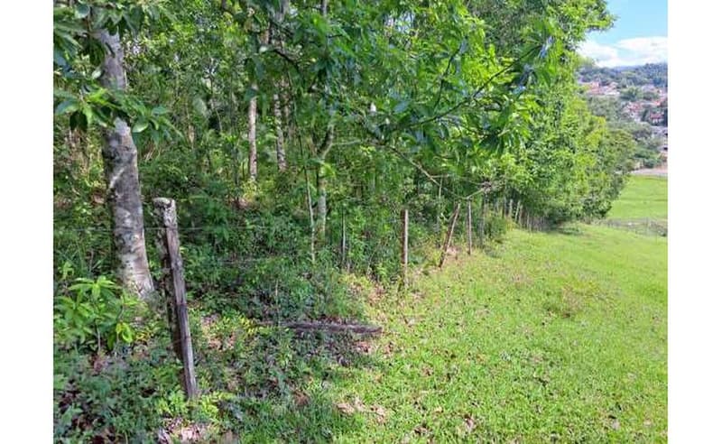 Foto 17 de 27: Terreno em leilão em Blumenau - SC — Imóvel urbano com área total de 35.820,27 m² em Blumenau/SC