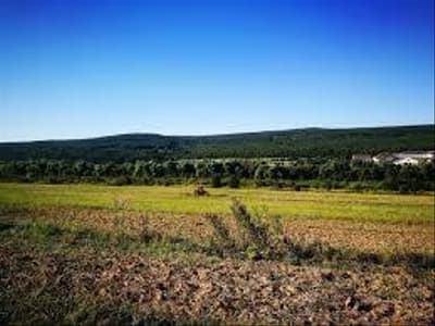 Terreno em leilão em Canoinhas - SC — Um terreno rural, de cultura, com a área de 383.138,110m², situado no lugar denominado CAMPO DOS BUENOS,
