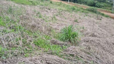 Foto 3 de 5: Terreno em leilão em Saudades - SC — LOTE URBANO Nº 08, DA QUADRA Nº 122, LOCALIZADO EM SAUDADES/SC ÁREA DE 360M²