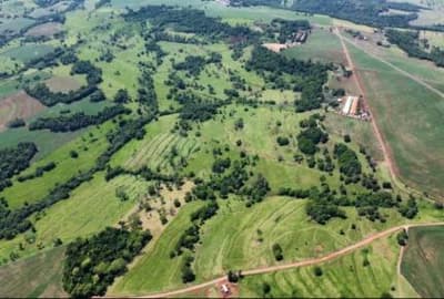 Foto 6 de 13: Area Rural em leilão em São José Das Palmeiras - PR — IMÓVEL RURAL COM ÁREA TOTAL DE 22,40 ha- Em SÃO JOSÉ DAS PALMEIRAS/PR