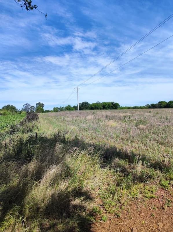 Foto 3 de 12: Area Rural em leilão em Santo Cristo - RS — IMÓVEL RURAL COM ÁREA TOTAL DE 20.250m² - SANTO CRISTO/RS