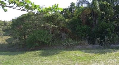 Terreno em leilão em Ilha Comprida - SP, bairro Balneário Guarapuava — Lote 250m² na Ilha Comprida/SP