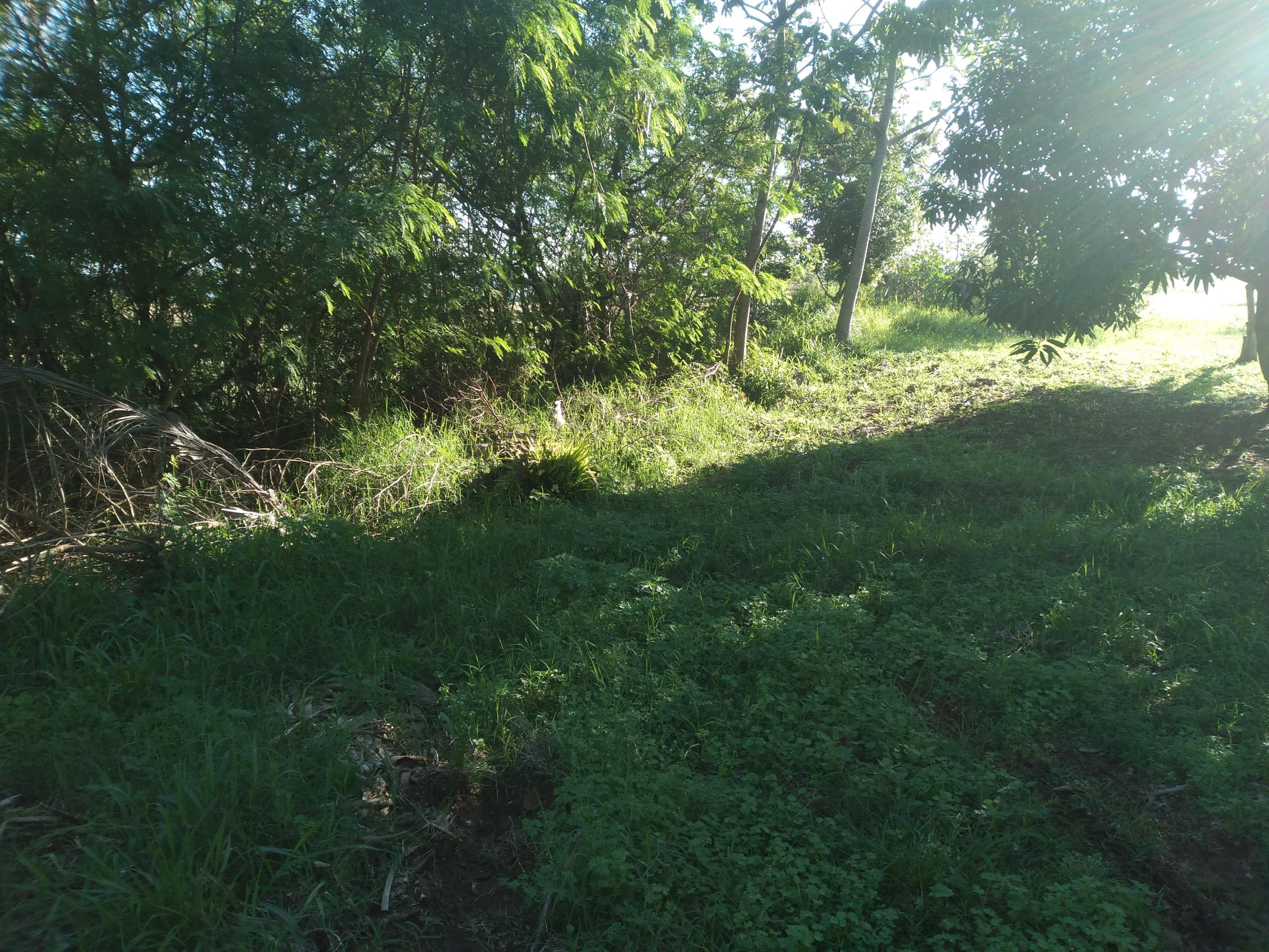 Foto 27 de 41: Area Rural em leilão em Capitão Leônidas Marques - PR — Gleba Urbana Desocupada 27.837m2 no Bairro São Gabriel em Capitão Leonidas Marques/PR
